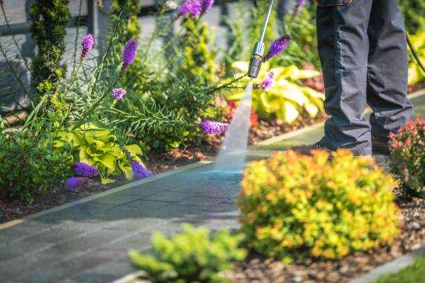 Green Knoll, NJ Pressure Washing Services Company
