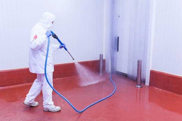 Best Brick and Stone Cleaning in Green Knoll, NJ